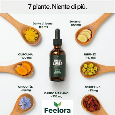 Super Liver – Supporto per Fegato e Intestino