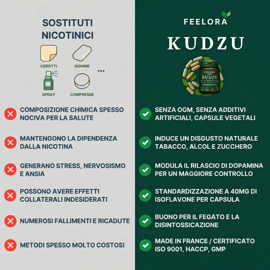 Feelora Kudzu Capsule