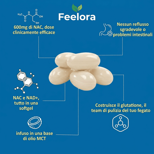 NAC600 & NAD Complesso Quotidiano