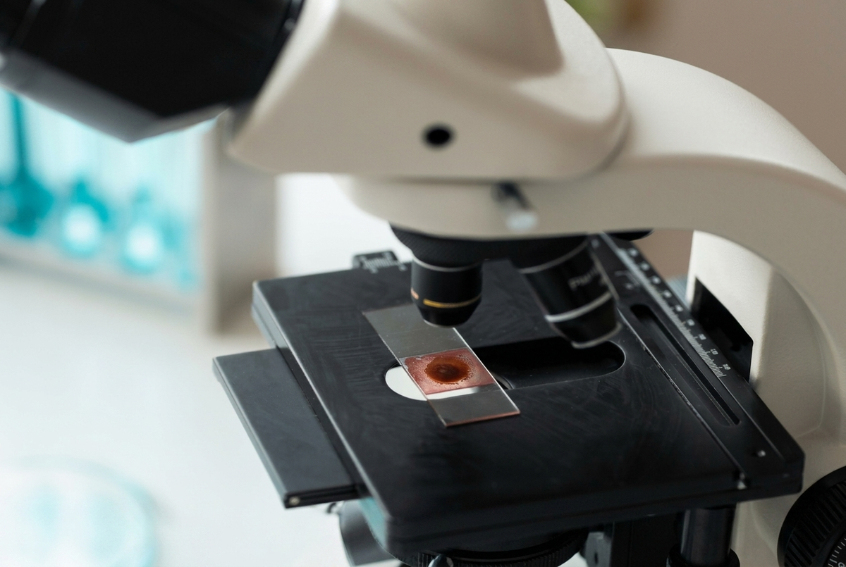 Microscopio